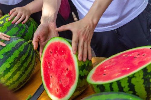 免费吃瓜大全,揭秘娱乐圈幕后故事，带你领略明星们的真实生活