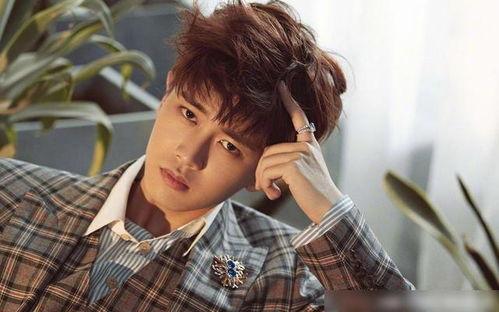 娱乐吃瓜蜀黍任嘉伦视频