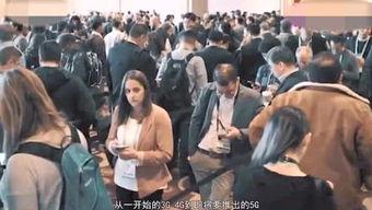 娱乐吃瓜集中营,吃瓜群众背后的故事