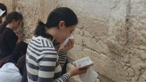 娱乐吃瓜君耍猴版,揭秘耍猴版背后的趣味与真相