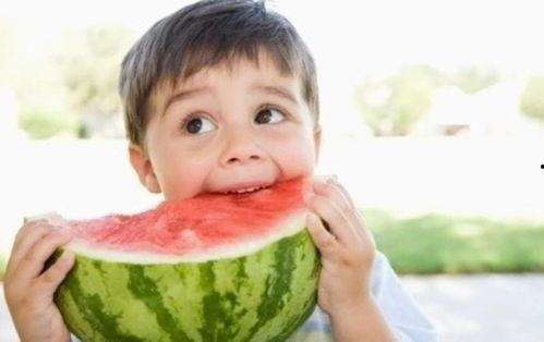 娱乐吃瓜君耍猴版,揭秘耍猴版背后的趣味与真相