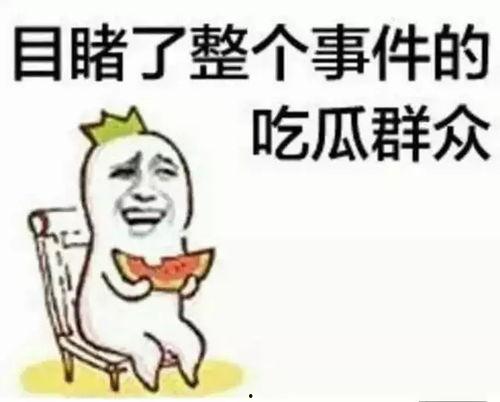 娱乐吃瓜酱两个互相喜欢,娱乐吃瓜酱的浪漫邂逅