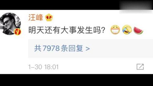 娱乐吃瓜圈小程序,跟随“娱乐吃瓜圈”小程序，畅游八卦海洋