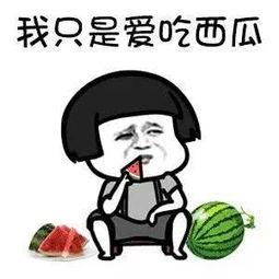 娱乐圈吃瓜蛙,揭秘明星幕后故事与八卦风云