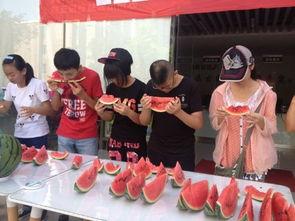 吃瓜娱乐社区,揭秘明星幕后故事，带你走进娱乐圈的真相世界