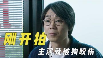 娱乐吃瓜君可爱,揭秘娱乐圈那些可爱又搞笑的幕后故事