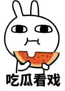 娱乐吃瓜的大番薯,揭秘娱乐圈幕后故事