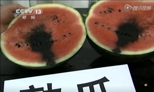 免费吃瓜 独家揭秘,独家内幕曝光